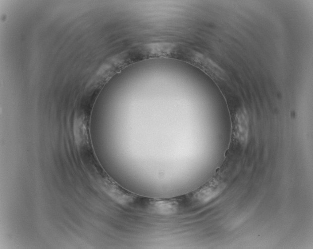 X0000070380522200606121256