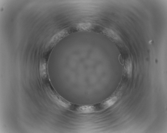 X0000070380526200606121256