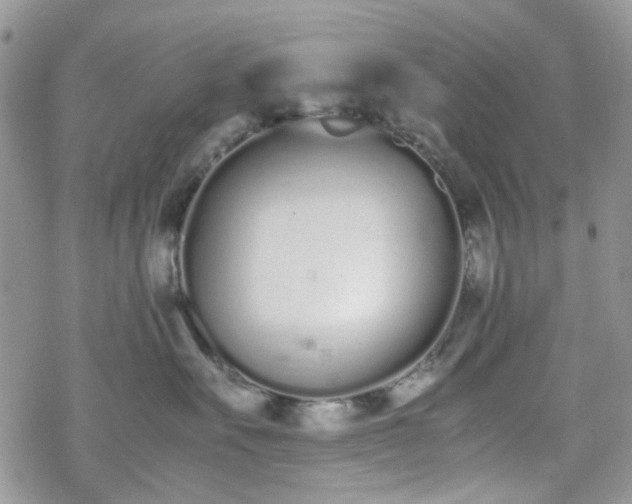 X0000070380527200606121256