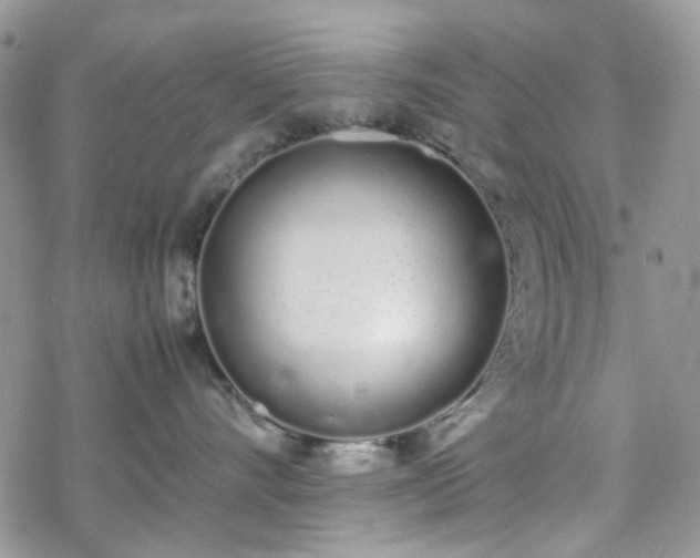 X0000070380528200606121256