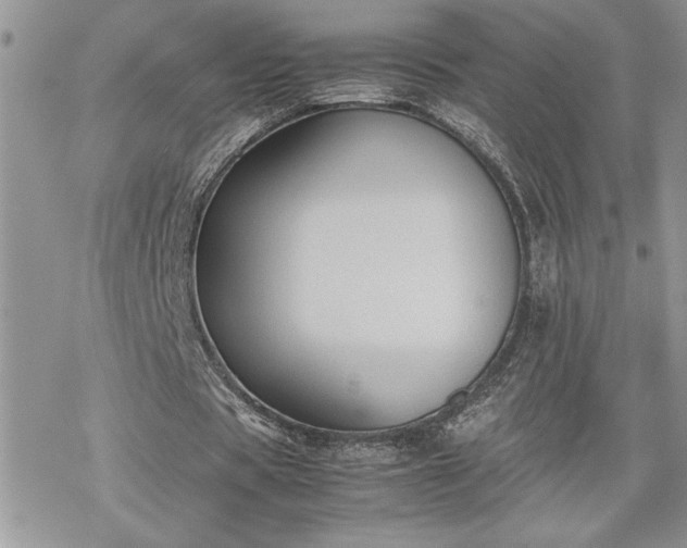 X0000070380529200606121255