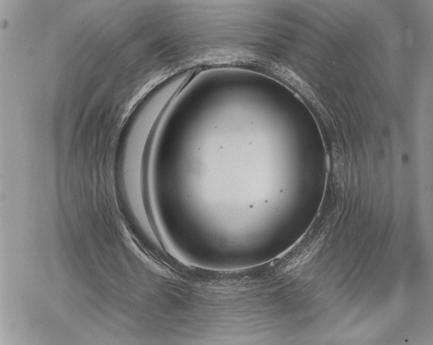 X0000070380530200606121255