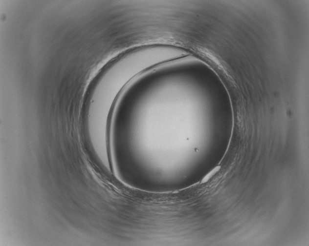 X0000070380532200606121255