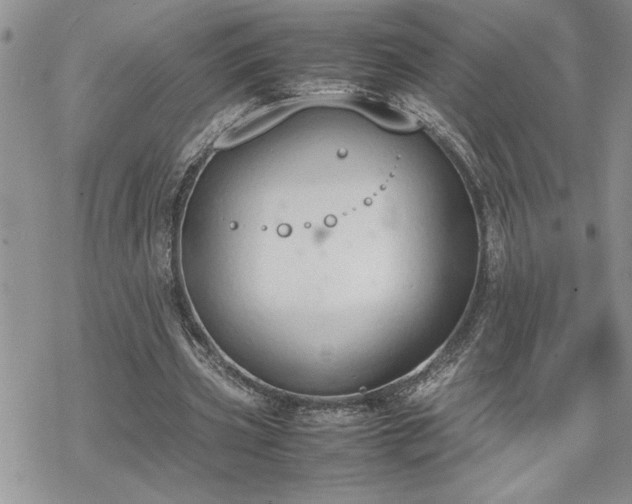 X0000070380533200606121255