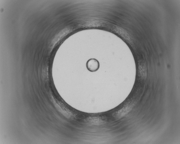 X0000070380534200606121255