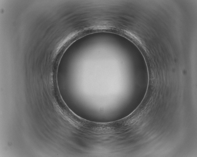 X0000070380535200606121255