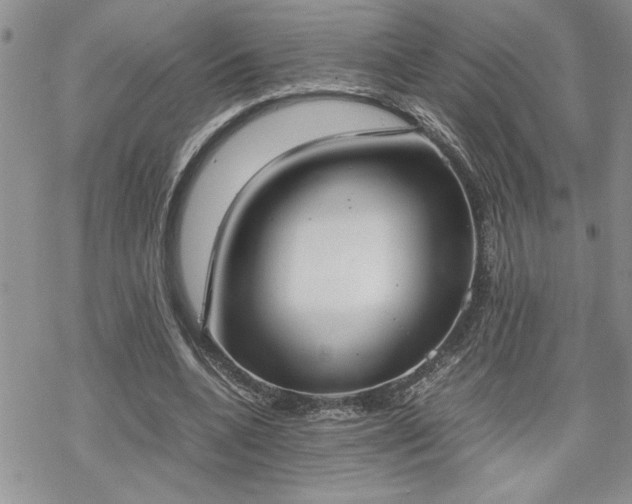 X0000070380536200606121255