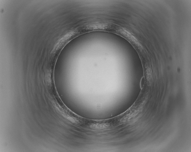 X0000070380537200606121255