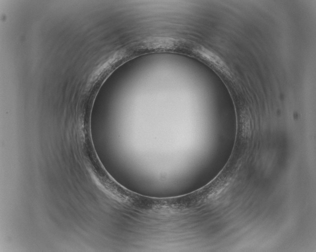 X0000070380538200606121255