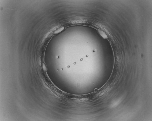 X0000070380539200606121255