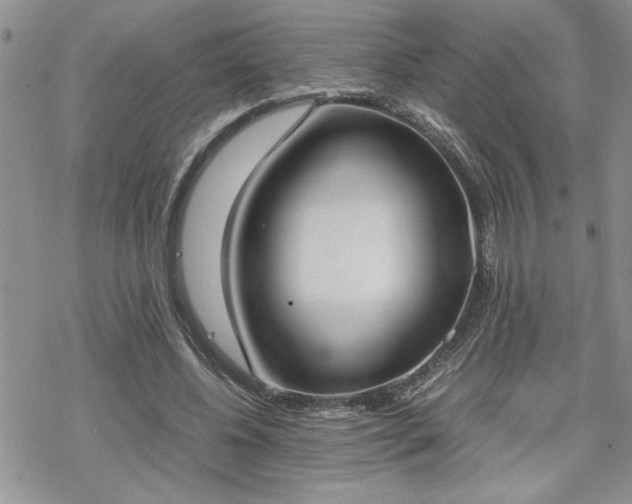 X0000070380540200606121255