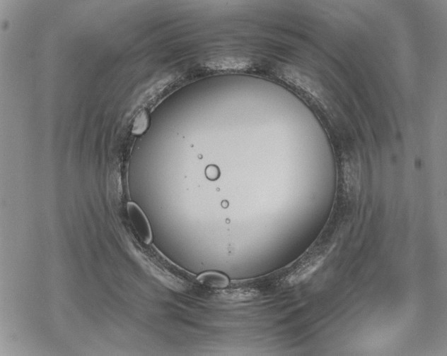 X0000070380541200606121255