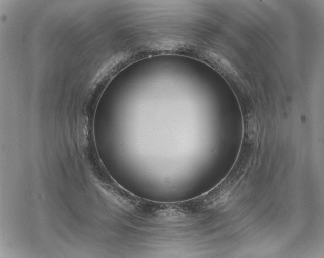 X0000070380544200606121255