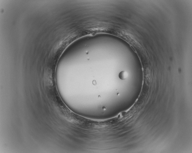 X0000070380547200606121255