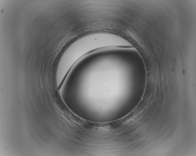 X0000070380548200606121255