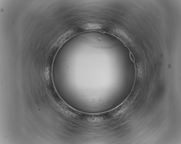 X0000070380549200606121255