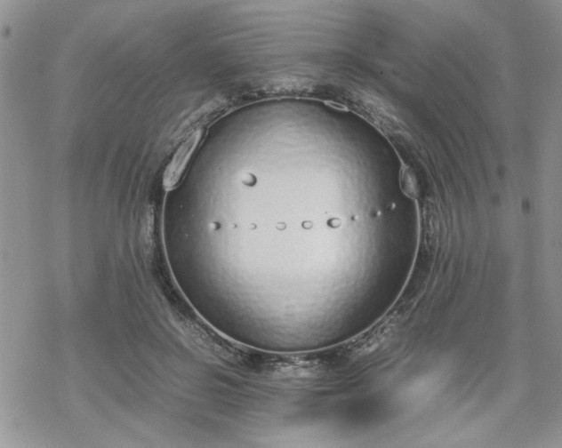 X0000070380550200606121255