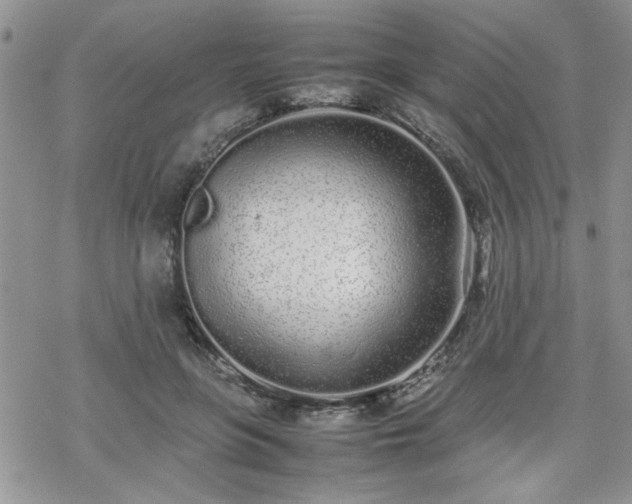 X0000070380551200606121255