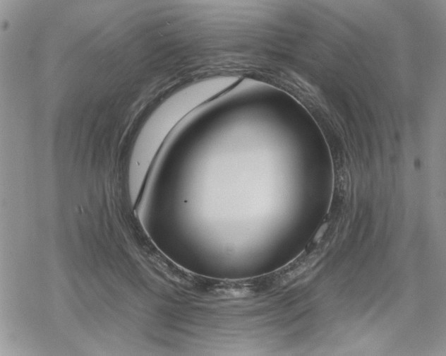 X0000070380552200606121255