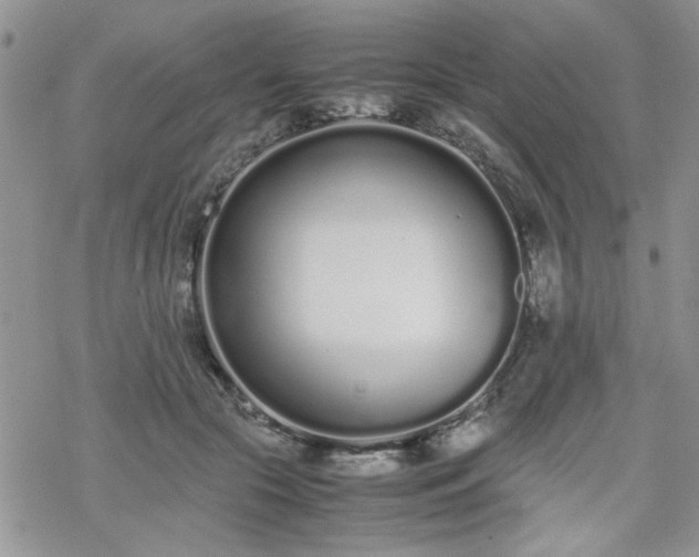 X0000070380553200606121255