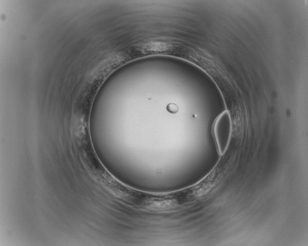 X0000070380555200606121255