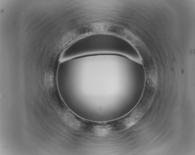 X0000070380556200606121255