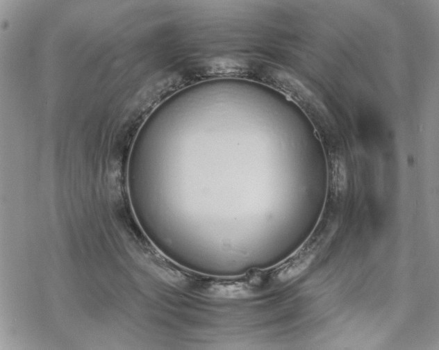 X0000070380557200606121255