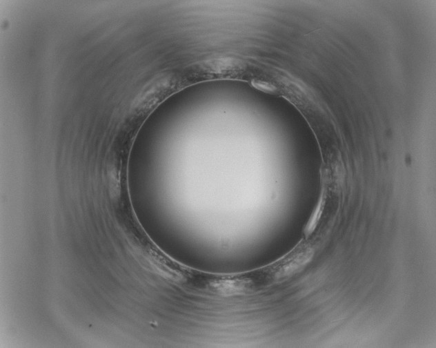 X0000070380558200606121255