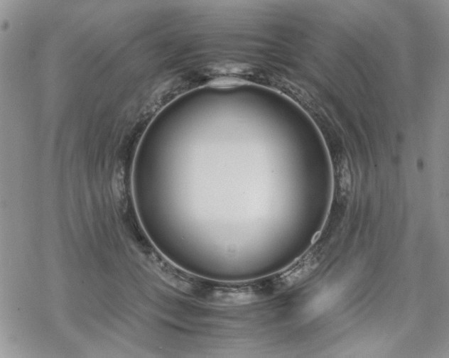 X0000070380559200606121255