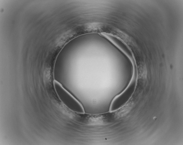 X0000070380560200606121255