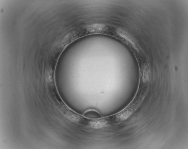 X0000070380561200606121255