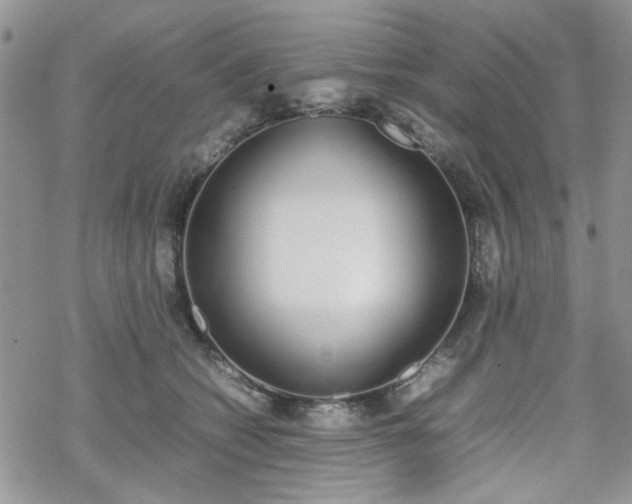 X0000070380562200606121255