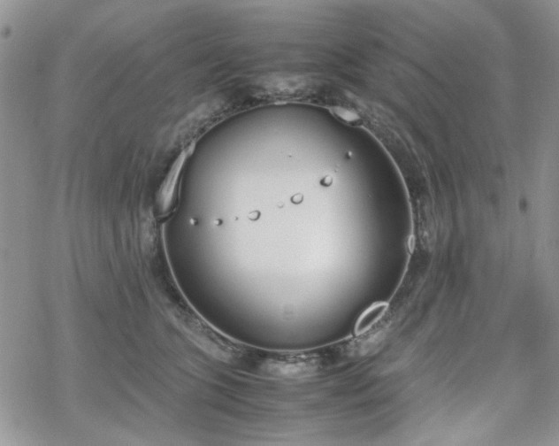 X0000070380563200606121255