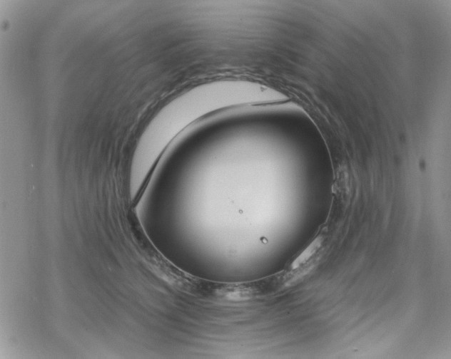 X0000070380564200606121255