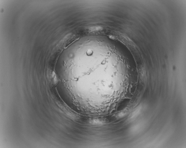 X0000070380565200606121255