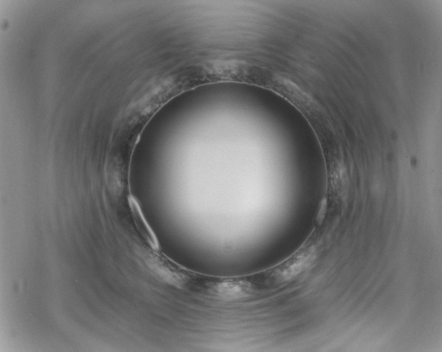 X0000070380566200606121255