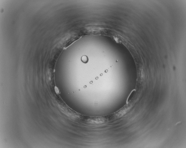 X0000070380567200606121255