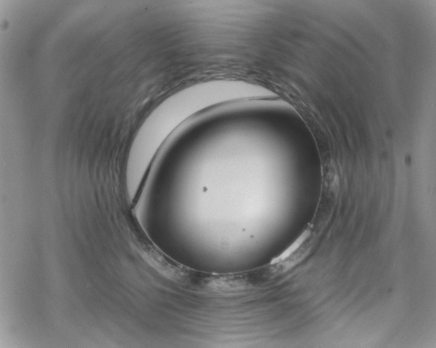 X0000070380568200606121255