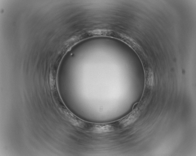 X0000070380569200606121255