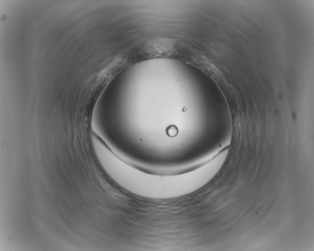 X0000070380570200606121255