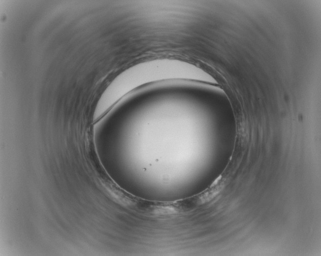 X0000070380572200606121256