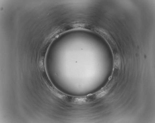 X0000070380573200606121256