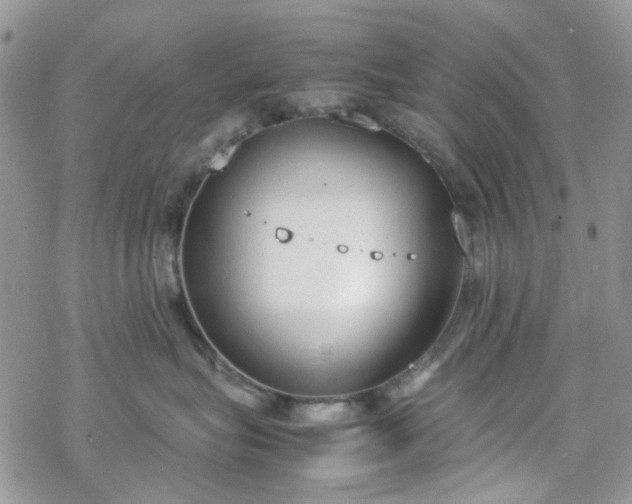 X0000070380575200606121256