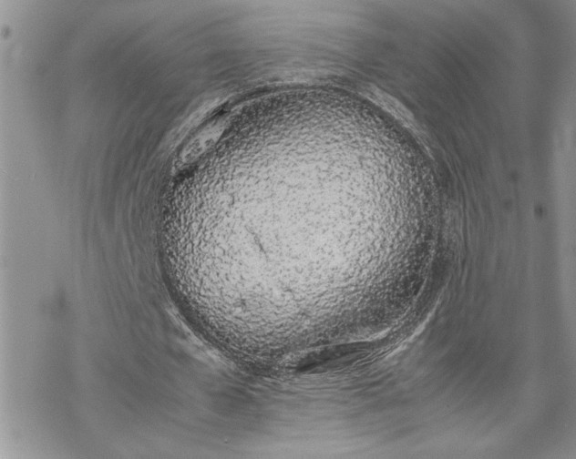 X0000070380577200606121255