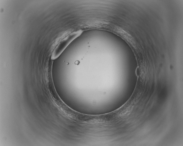 X0000070380578200606121255