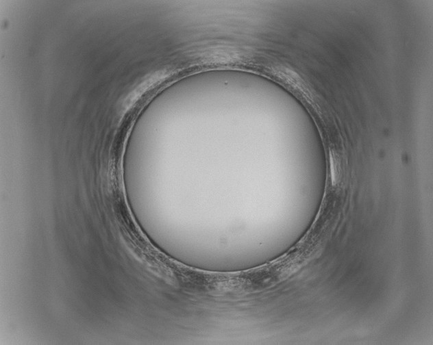 X0000070380579200606121255