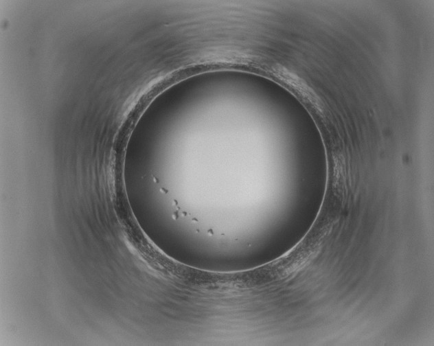 X0000070380580200606121255