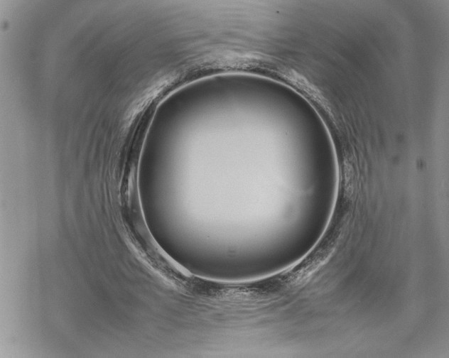 X0000070380581200606121255