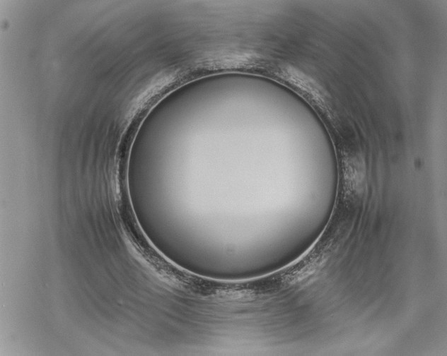 X0000070380582200606121255