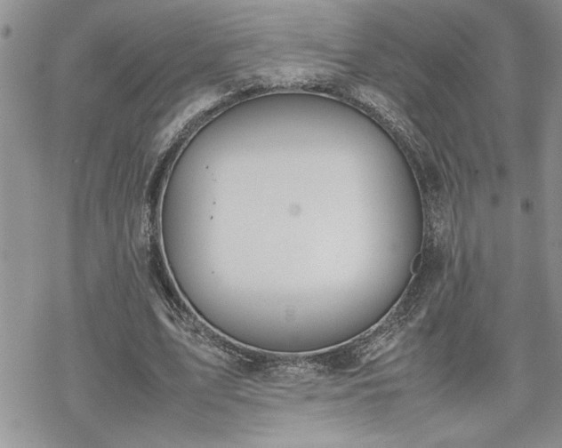 X0000070380583200606121255